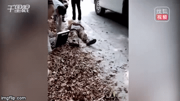 Video: Liều mình cầm đầu rắn hổ mang chụp ảnh, người đàn ông trả giá bằng cả tính mạng