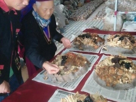 “Cẩm nang” thảo dược chữa trị tận gốc bệnh mất ngủ