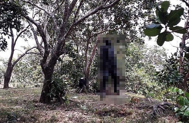 Tá hỏa phát hiện xác người đàn ông phân hủy nặng trong tư thế treo cổ ở vườn điều