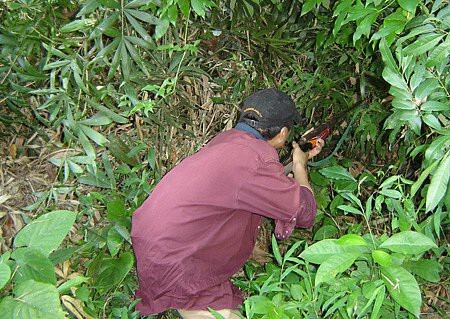 Đi săn, bắn nhầm người làng vì tưởng là thú rừng