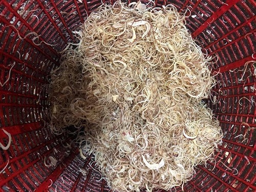 Phát hiện gần 2 tấn ngó sen, hoa chuối bào 