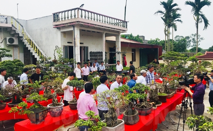 Hải Dương: Trưng bày Cây cảnh nghệ thuật và Nông cụ mở rộng năm 2019