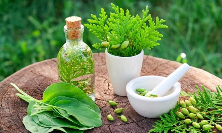 Bà con mách nhau bài thuốc chữa khỏi bệnh dạ dày, đại tràng của lương y Nguyễn Thị Ngọc Hà