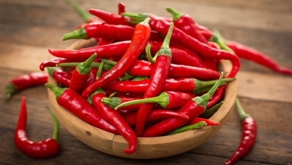 Ăn cay có thể ức chế tế bào ung thư di căn