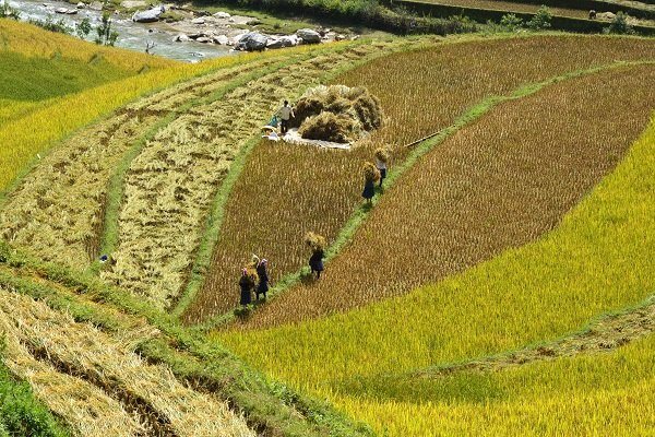 Pháp quyền ở nông thôn
