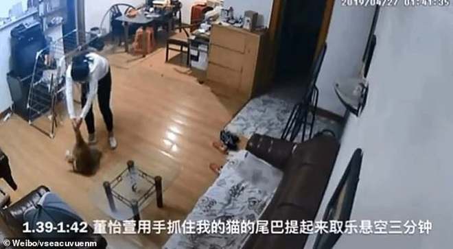 Cô gái bật khóc vì bất lực khi thấy mèo cưng bị bạn cùng phòng hành hạ dã man