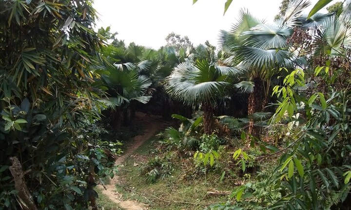 Nghệ An: Phát hiện người đàn ông tử vong bất thường ở bìa rừng