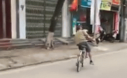 Video: Ngật ngưỡng vì say, người đàn ông phóng xe đạp đâm sầm vào ô tô