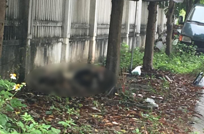 Đi tập thể dục, kinh hãi phát hiện thi thể phụ nữ cháy đen co quắp bên đường