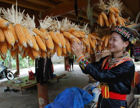 Chuyện 'coong trình' của người Dao đỏ