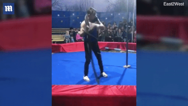 Video: Để trăn khổng lồ quấn quanh cổ, thanh niên nhận cái kết thảm khốc sau vài giây