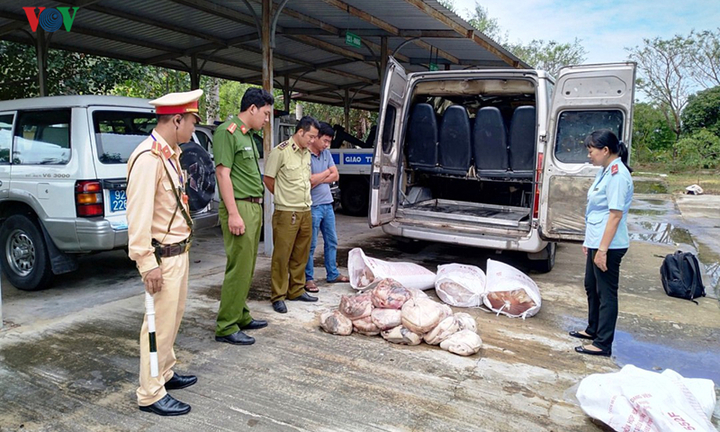 Bắt giữ xe khách chở  500 kg thịt động vật hôi thối