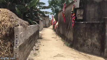 Vụ 2 người thương vong vì bị cứa cổ ở Nghệ An: Lời khai nghi phạm hé lộ nhiều thông tin bất ngờ