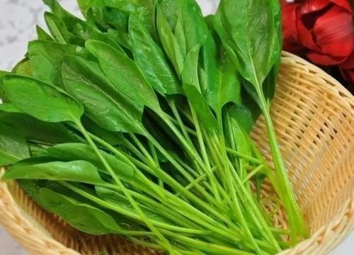 Phụ nữ nên ăn rau chân vịt để bổ máu? Nếu bạn nghĩ như vậy thì nhầm to!