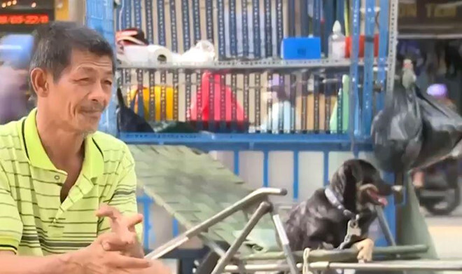 Sống cảnh “màn trời chiếu đất”, ông lão nhặt ve chai vẫn cưu mang đàn chó tật nguyền