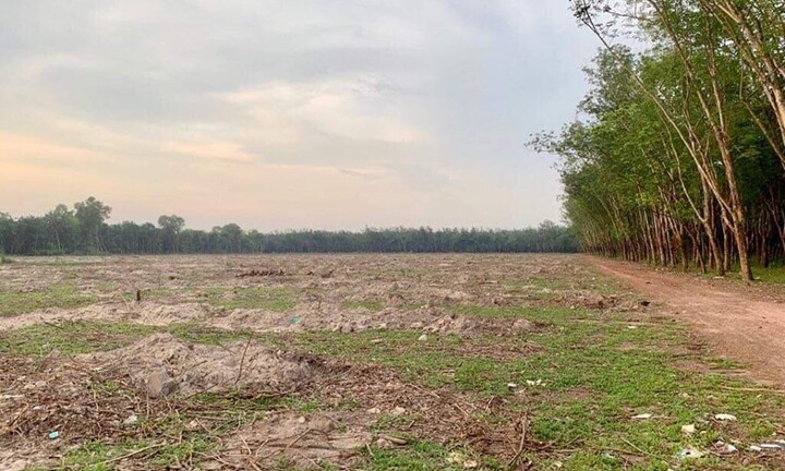 Tổng giám đốc Sagri đã làm trái quyết định của Thủ tướng như thế nào?