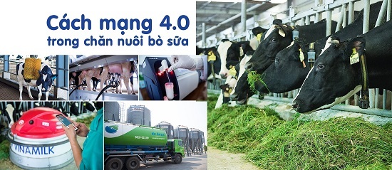Một vòng khám phá trang trại