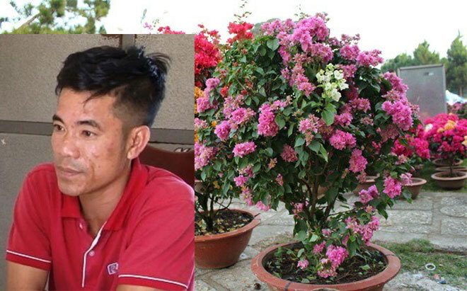 Ninh Bình: Bắt nhóm đối tượng đột nhập lăng mộ, trộm cây hoa trị giá 80 triệu đồng