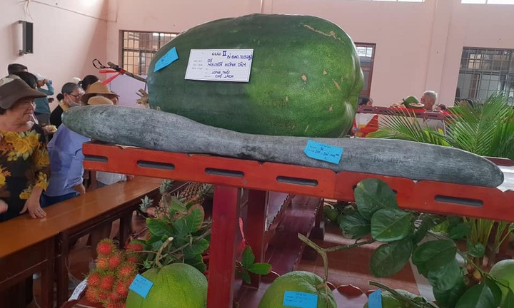 Hội chợ Nông nghiệp và sản phẩm OCOP khu vực Đồng bằng sông Cửu Long 2019