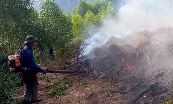 Tin tức thời sự mới nóng nhất hôm nay 24/6/2019: Trắng đêm dập lửa cứu 15 ha rừng thông ở Nghệ An