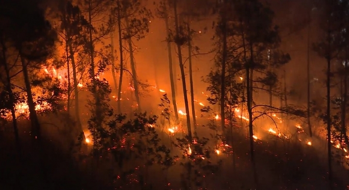 Hé lộ nguyên nhân hàng loạt vụ cháy rừng xảy ra cùng một ngày ở Huế