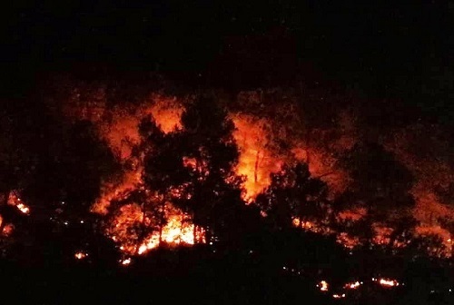 Vụ cháy rừng nghiêm trọng ở Hà Tĩnh: Công tác dập lửa gặp nhiều khó khăn