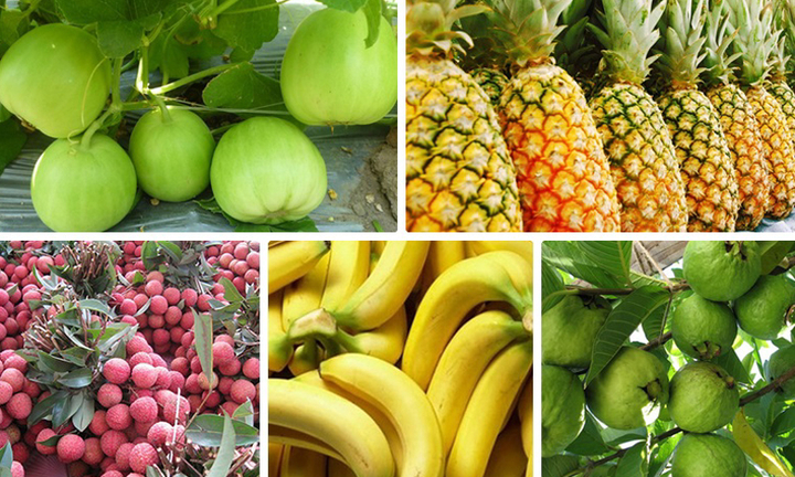 4 loại trái cây tránh ăn nhiều vào mùa hè để khỏi tăng cân và hôi miệng