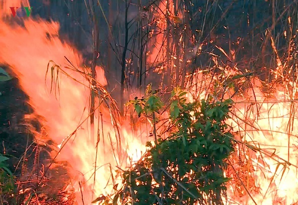 Hai vụ cháy rừng xảy ra liên tiếp cùng ngày tại Phú Yên, hàng trăm người nỗ lực dập lửa trong đêm