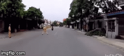 Video: Nam thanh niên phóng xe máy tốc độ cao hất tung chiến sĩ CSGT Hải Phòng