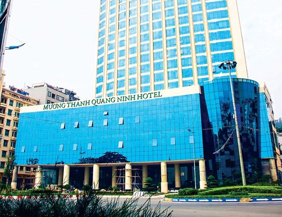 Xuất hiện cổ đông mới tại Tập đoàn Mường Thanh