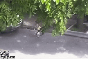 Video: Lạnh gáy cảnh bé trai đột ngột lao thẳng ra đường suýt nằm dưới gầm ô tô