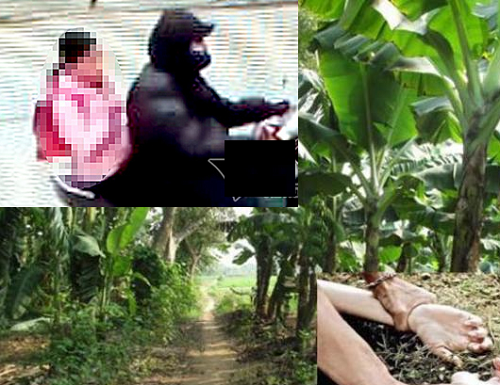 Hà Nội: Gã mổ lợn xâm hại bé gái 9 tuổi ở vườn chuối bị truy tố