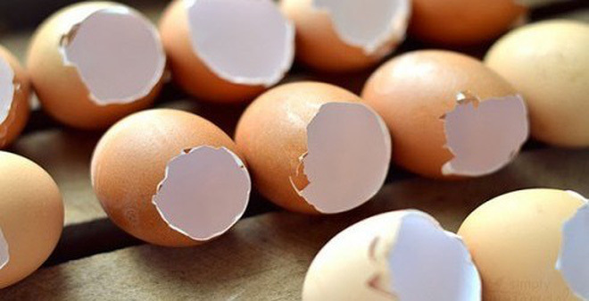 Tác dụng chữa bệnh hiệu quả không ngờ của vỏ trứng
