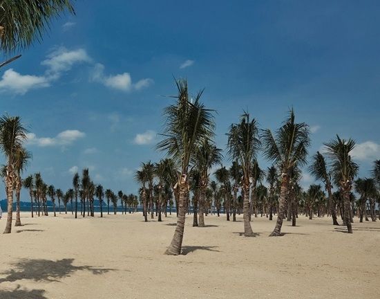 Bãi biển Bãi Cháy hứng 6 tấn rác từ du khách mỗi ngày