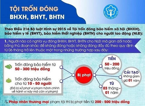 Đề nghị xem xét, xử lý hình sự đối với những đơn vị, doanh nghiệp trốn đóng bảo hiểm