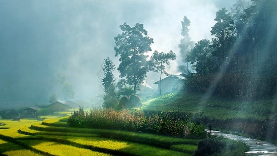 Tin tức dự báo thời tiết mới nhất hôm nay 24/7/2019: Miền núi Bắc Bộ xuất hiện mưa dông, gió giật mạnh