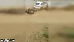 Video: Chủ xe chơi trội, đưa xế sang Audi Q5 đi cày ruộng