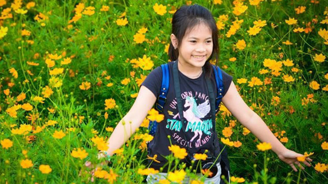 Nữ sinh lớp 6 viết tâm thư đề nghị không thả bóng bay trong lễ khai giảng khiến nhiều người suy nghĩ