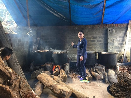 Luơng y Triệu Thị Bình với bài thuốc cổ truyền chữa khỏi bệnh đau nhức xương khớp