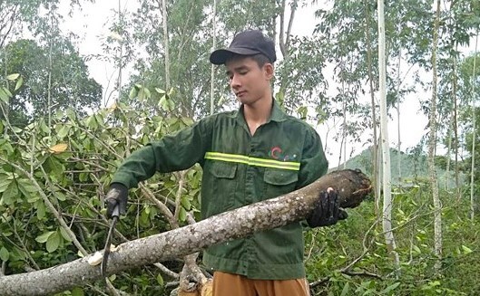 Tấm gương vượt khó xứ Nghệ: Nam sinh chăm bố bệnh tật vẫn đạt thủ khoa trường làng