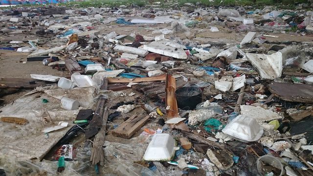 Tin tức thời sự mới nóng nhất hôm nay 7/8/2019: Rác bủa vây âu thuyền lớn nhất Đà Nẵng