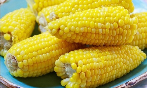 Lợi ích bất ngờ khi ăn sáng bằng ngô