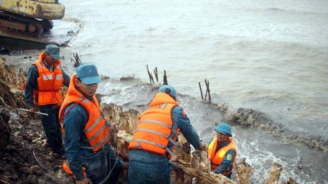 Cà Mau kiến nghị Trung ương hỗ trợ hơn 200 tỉ đồng bảo vệ đê biển Tây