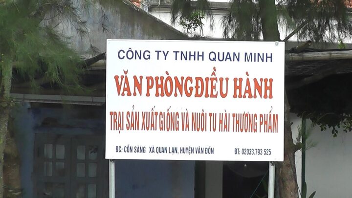 Chân dung “ông trùm hút cát” ở Vân Đồn, đi xe Cadilac Hoàng Văn Cường
