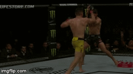 Video: Lĩnh cú lên gối cực mạnh từ đối thủ, võ sĩ Mỹ bị biến dạng sống mũi