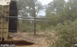 Video: Hài hước những pha tự 