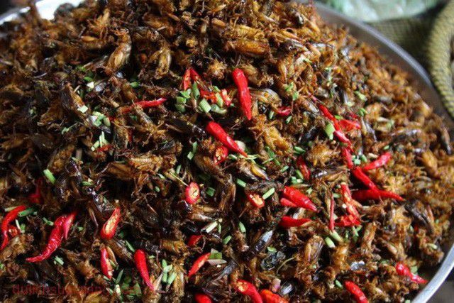 Về Lào Cai thưởng thức đặc sản có một không hai, ăn một lần cả đời nhớ mãi