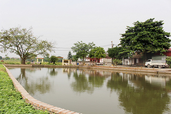 Hưng Yên: Bức tranh nông thôn mới nhiều màu sắc trên quê hương Văn Lâm