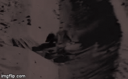 Video: Cầy mangut điên cuồng bới cát, lôi bọ cạp lên