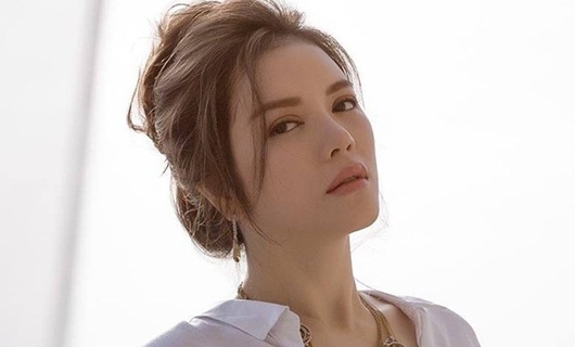 Lý Nhã Kỳ sở hữu khối tài sản